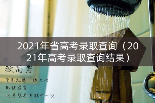 2021年省高考录取查询（2021年高考录取查询结果）