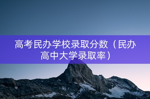 高考民办学校录取分数（民办高中大学录取率）