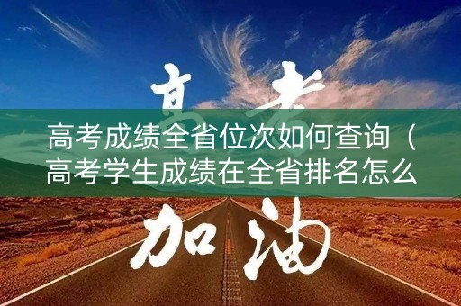 高考成绩全省位次如何查询（高考学生成绩在全省排名怎么查）