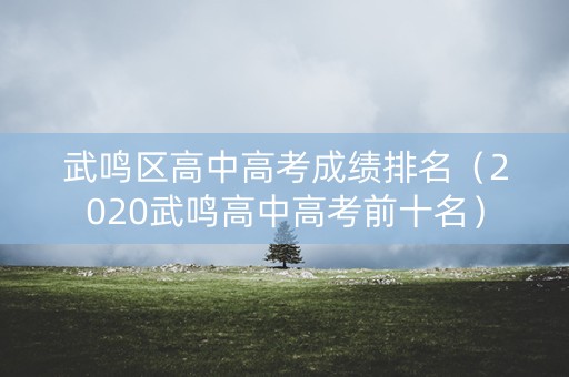 武鸣区高中高考成绩排名（2020武鸣高中高考前十名）