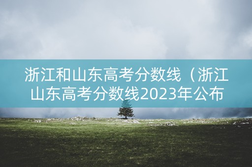 浙江和山东高考分数线（浙江山东高考分数线2023年公布了吗）