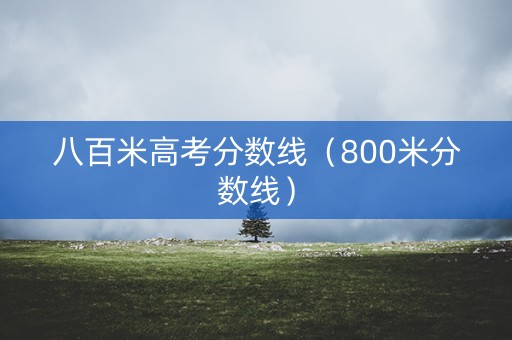 八百米高考分数线（800米分数线）