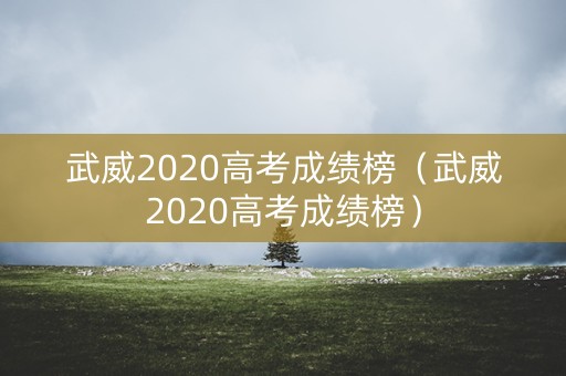 武威2020高考成绩榜（武威2020高考成绩榜）