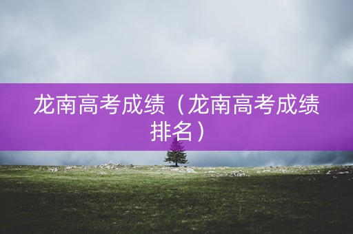 龙南高考成绩（龙南高考成绩排名）