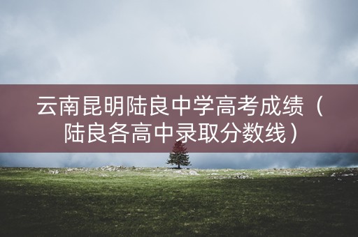 云南昆明陆良中学高考成绩（陆良各高中录取分数线）