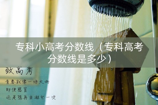 专科小高考分数线（专科高考分数线是多少）