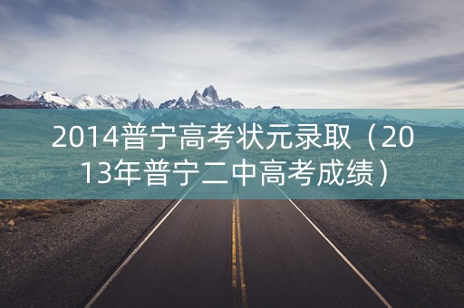 2014普宁高考状元录取（2013年普宁二中高考成绩）