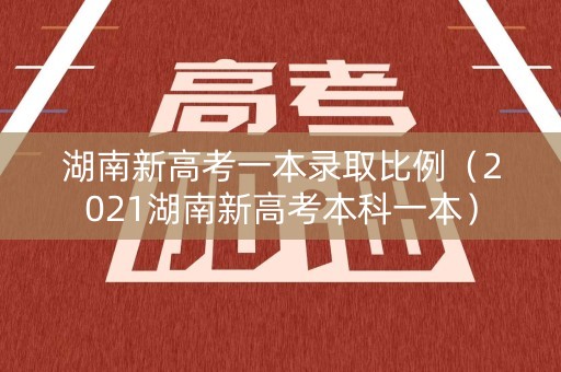 湖南新高考一本录取比例（2021湖南新高考本科一本）