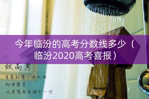 今年临汾的高考分数线多少（临汾2020高考喜报）