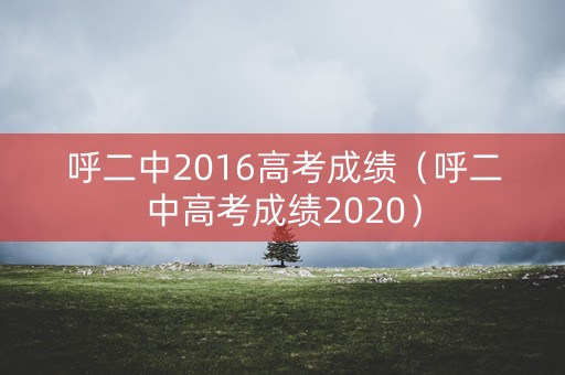 呼二中2016高考成绩（呼二中高考成绩2020）
