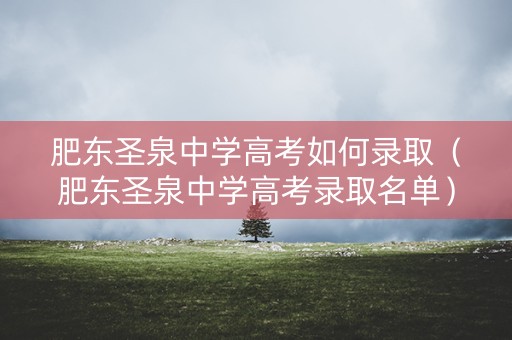 肥东圣泉中学高考如何录取（肥东圣泉中学高考录取名单）