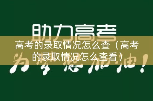 高考的录取情况怎么查（高考的录取情况怎么查看）