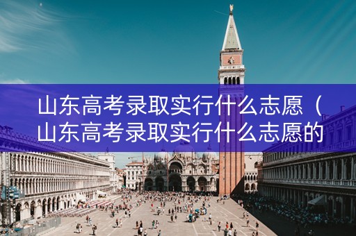 山东高考录取实行什么志愿（山东高考录取实行什么志愿的）