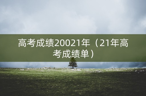 高考成绩20021年（21年高考成绩单）