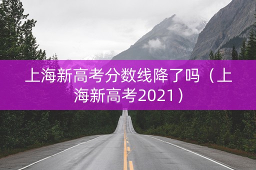 上海新高考分数线降了吗（上海新高考2021）