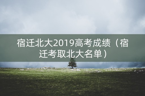 宿迁北大2019高考成绩（宿迁考取北大名单）