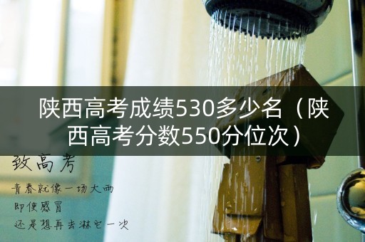 陕西高考成绩530多少名（陕西高考分数550分位次）