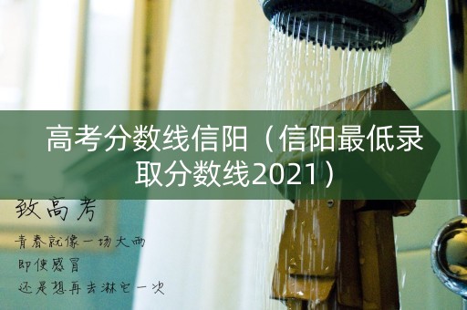 高考分数线信阳（信阳最低录取分数线2021）