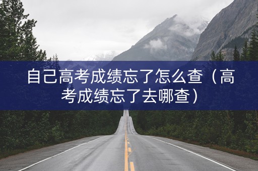 自己高考成绩忘了怎么查（高考成绩忘了去哪查）
