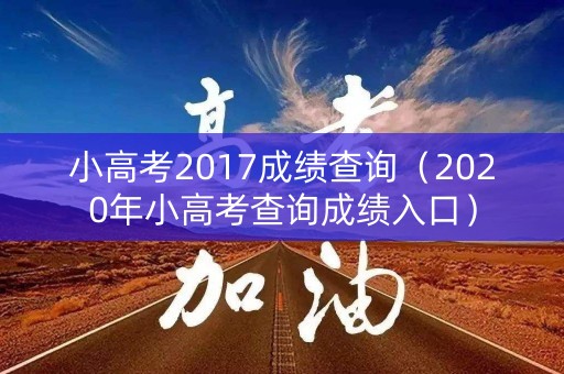 小高考2017成绩查询（2020年小高考查询成绩入口）