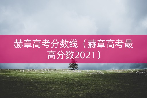 赫章高考分数线（赫章高考最高分数2021）