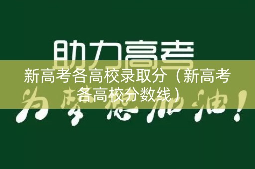 新高考各高校录取分（新高考各高校分数线）
