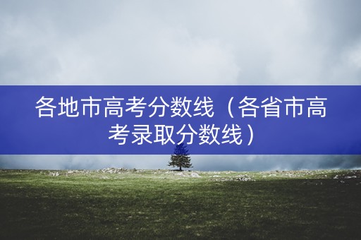 各地市高考分数线（各省市高考录取分数线）