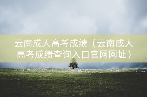 云南成人高考成绩（云南成人高考成绩查询入口官网网址）