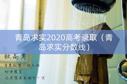 青岛求实2020高考录取（青岛求实分数线）