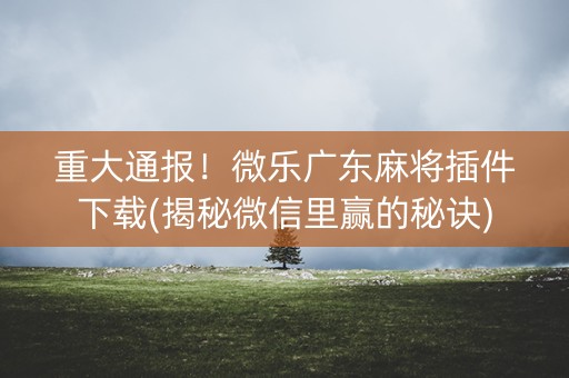 重大通报！微乐广东麻将插件下载(揭秘微信里赢的秘诀)