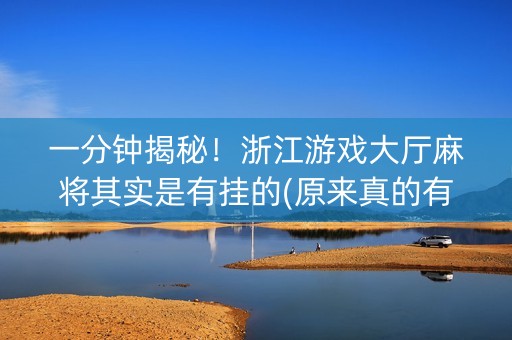 一分钟揭秘！浙江游戏大厅麻将其实是有挂的(原来真的有挂)