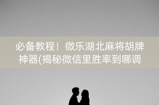 必备教程！微乐湖北麻将胡牌神器(揭秘微信里胜率到哪调)