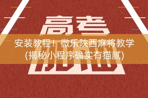 安装教程！微乐陕西麻将教学(揭秘小程序确实有猫腻)