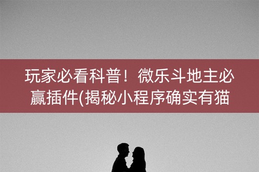 玩家必看科普！微乐斗地主必赢插件(揭秘小程序确实有猫腻)