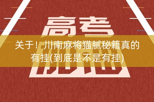 关于！川南麻将猫腻秘籍真的有挂(到底是不是有挂)