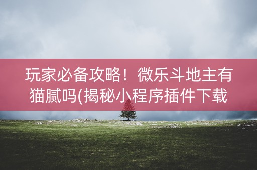 玩家必备攻略！微乐斗地主有猫腻吗(揭秘小程序插件下载)