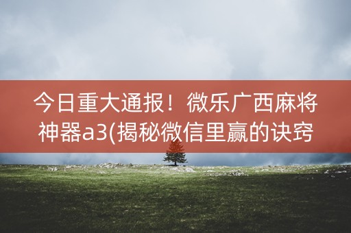 今日重大通报！微乐广西麻将神器a3(揭秘微信里赢的诀窍)