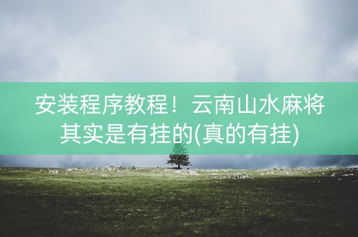 安装程序教程！云南山水麻将其实是有挂的(真的有挂)