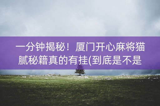 一分钟揭秘！厦门开心麻将猫腻秘籍真的有挂(到底是不是有挂)