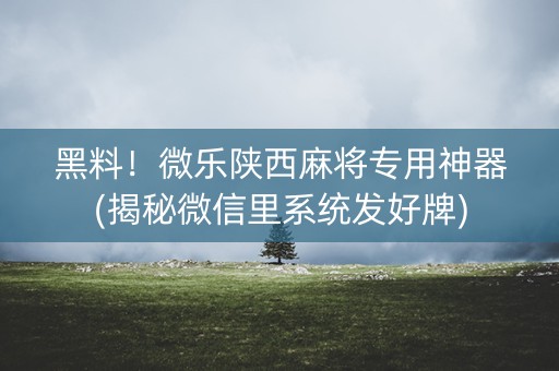 黑料！微乐陕西麻将专用神器(揭秘微信里系统发好牌)