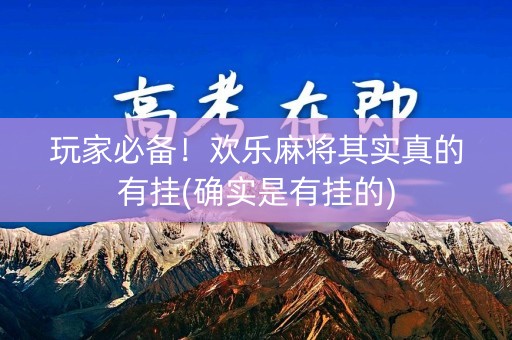 玩家必备！欢乐麻将其实真的有挂(确实是有挂的)