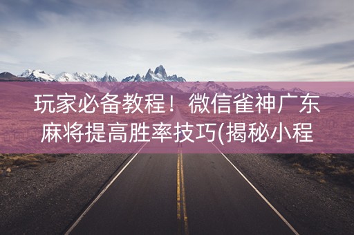 玩家必备教程！微信雀神广东麻将提高胜率技巧(揭秘小程序提高胜率)