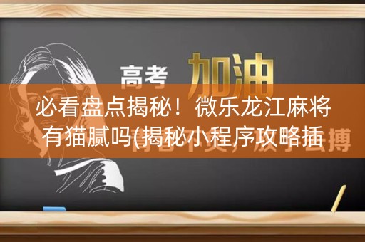 必看盘点揭秘！微乐龙江麻将有猫腻吗(揭秘小程序攻略插件)