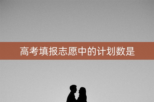 高考填报志愿中的计划数是