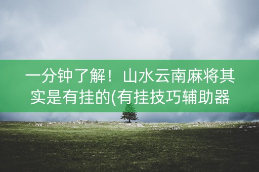 一分钟了解！山水云南麻将其实是有挂的(有挂技巧辅助器)