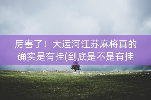 厉害了！大运河江苏麻将真的确实是有挂(到底是不是有挂)