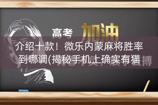 介绍十款！微乐内蒙麻将胜率到哪调(揭秘手机上确实有猫腻)