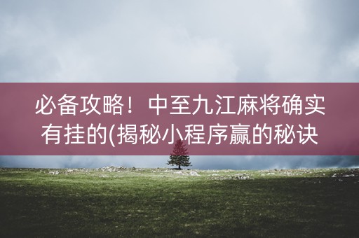 必备攻略！中至九江麻将确实有挂的(揭秘小程序赢的秘诀)