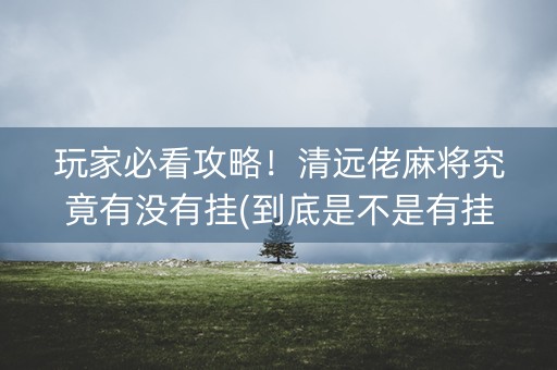 玩家必看攻略！清远佬麻将究竟有没有挂(到底是不是有挂)