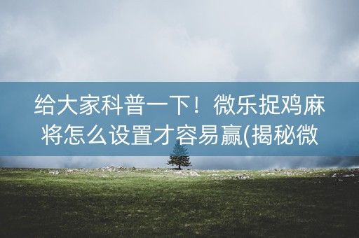 给大家科普一下！微乐捉鸡麻将怎么设置才容易赢(揭秘微信里助攻神器)